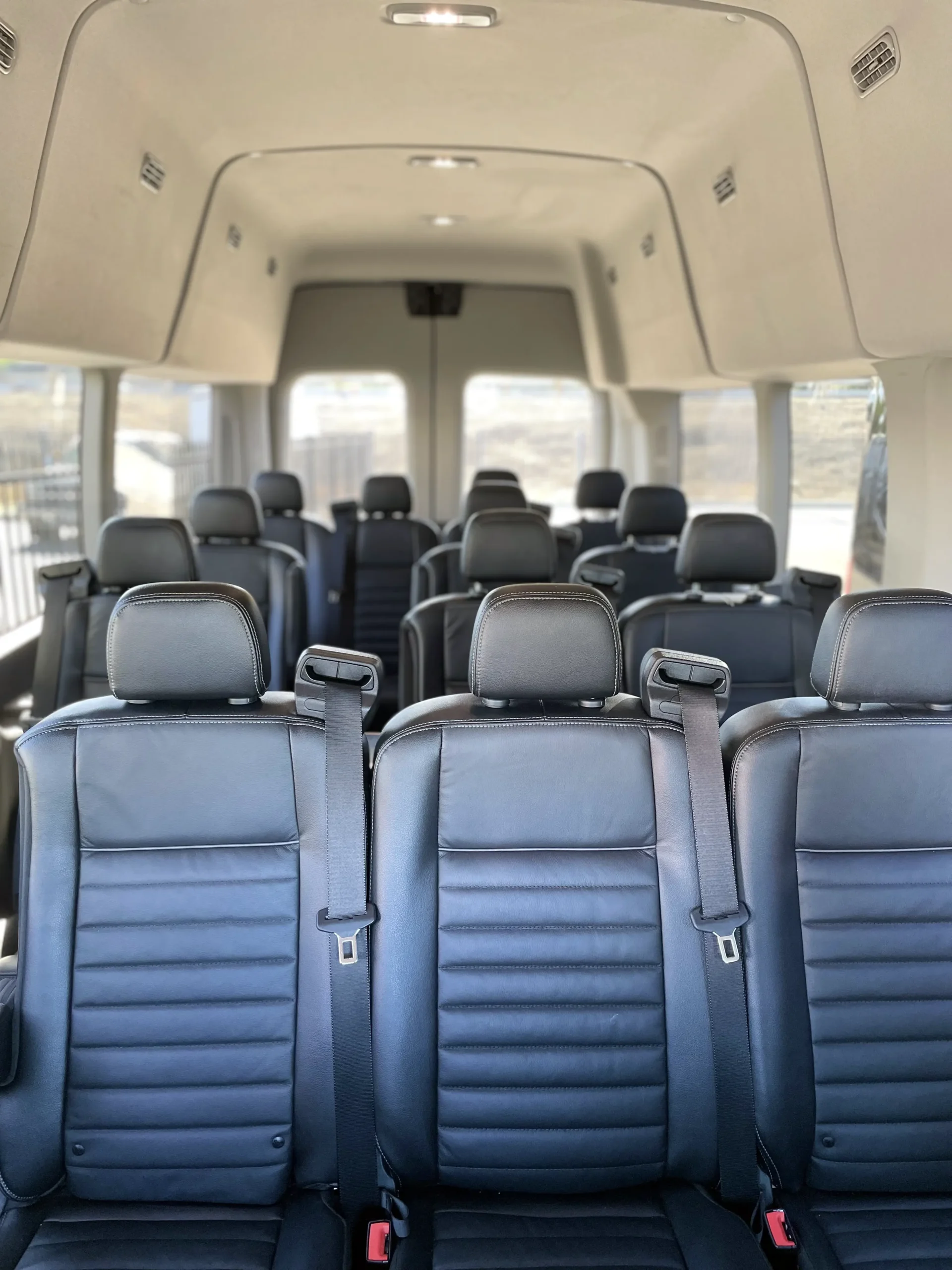 Limo Van Interior